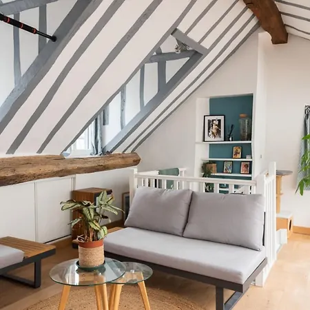 Apartment Nice 75m With Sunny Terrace Paris